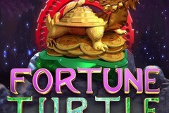 Fortune Turtle